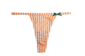 Citrus Dream Panty